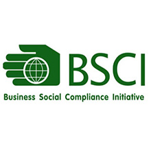  BSCI factory audit