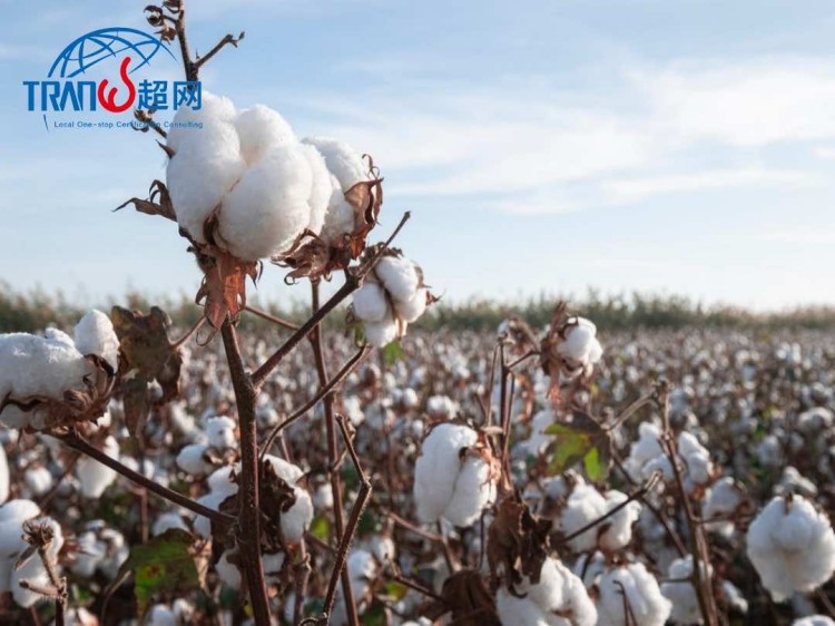 Vietnam GOTS Certification: A Pathway to Sustainable Textile Excellence