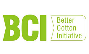 BCI factory audit